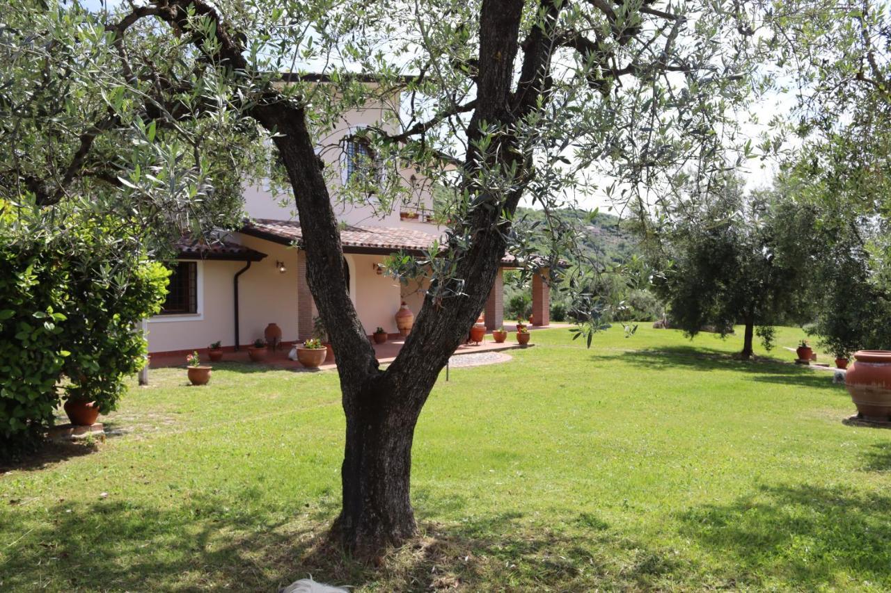 Agriturismo Il Bagolaro Nerola Ngoại thất bức ảnh