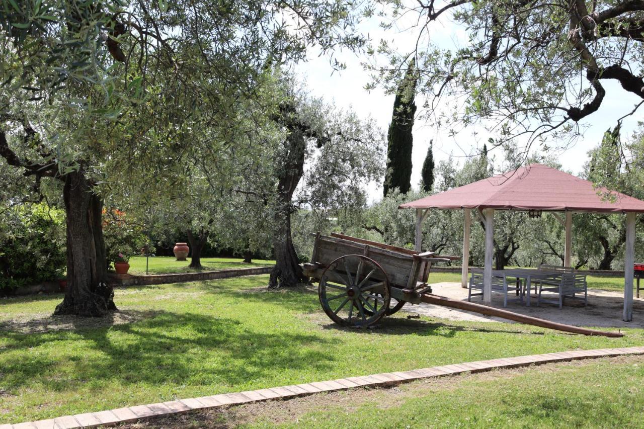 Agriturismo Il Bagolaro Nerola Ngoại thất bức ảnh