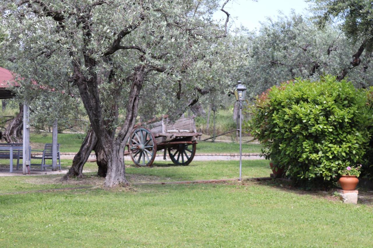Agriturismo Il Bagolaro Nerola Ngoại thất bức ảnh