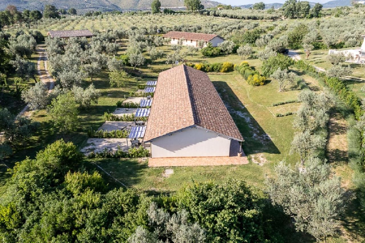 Agriturismo Il Bagolaro Nerola Ngoại thất bức ảnh