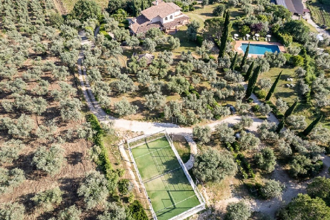 Agriturismo Il Bagolaro Nerola Ngoại thất bức ảnh