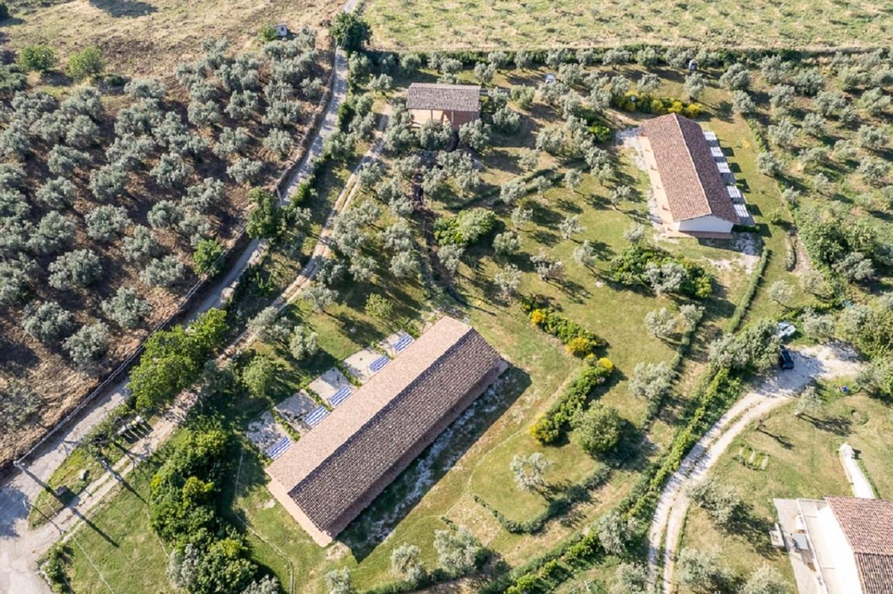 Agriturismo Il Bagolaro Nerola Ngoại thất bức ảnh
