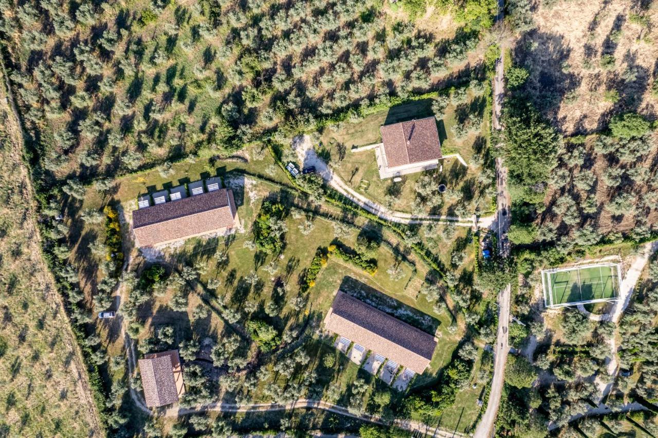 Agriturismo Il Bagolaro Nerola Ngoại thất bức ảnh